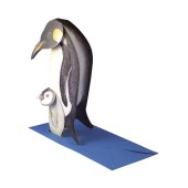 3D Penguin Card BÄRENPRESSE & CURIOSI